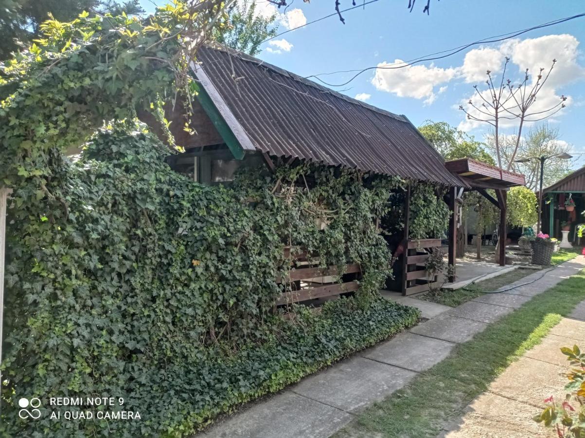 Olga Vendégház Abádszalók Exterior foto