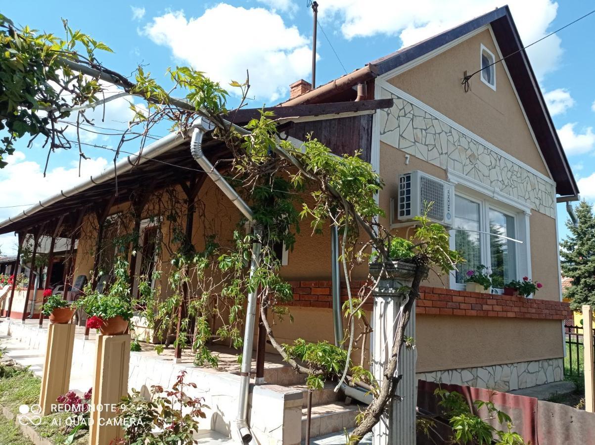 Olga Vendégház Abádszalók Exterior foto